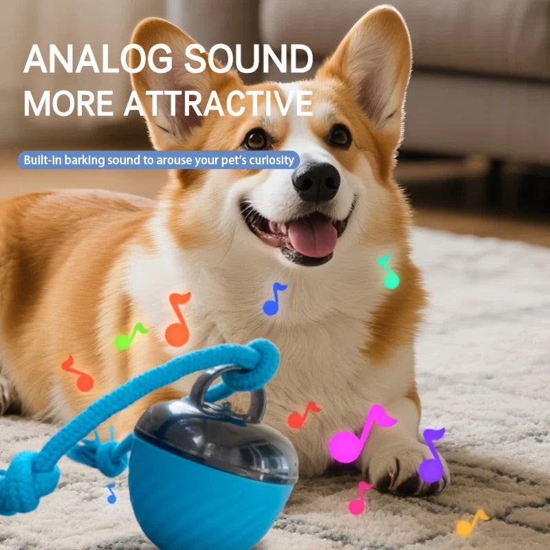 1 Interactive Intelligent Dog Ball Toy|USB Charging,Bite Resistant,Tail Rope,Light&Barking|Indoor Pet Game for Small/Medium Dogs
