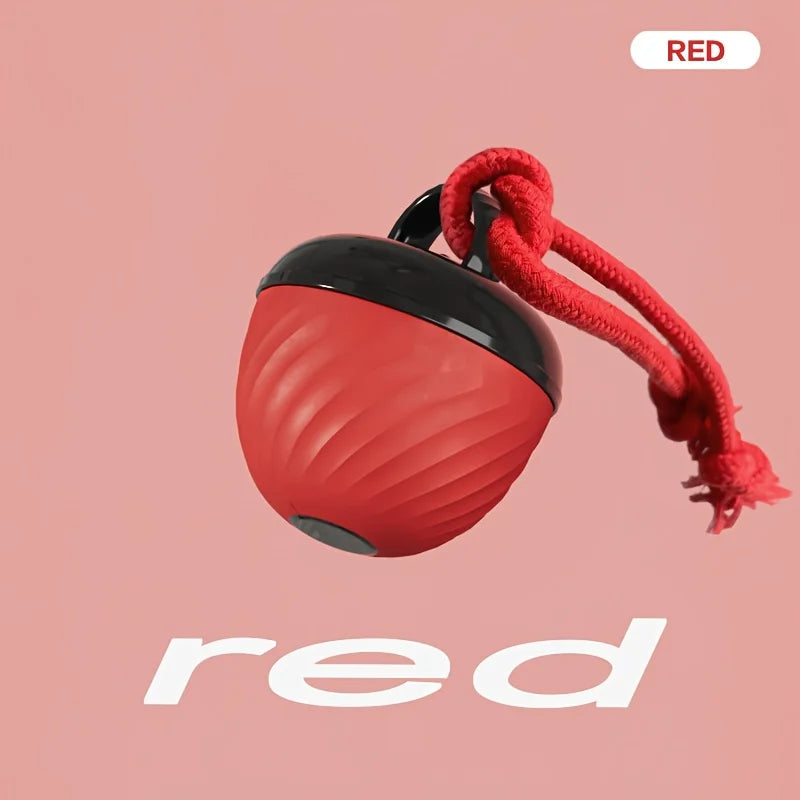 1 Interactive Intelligent Dog Ball Toy|USB Charging,Bite Resistant,Tail Rope,Light&Barking|Indoor Pet Game for Small/Medium Dogs