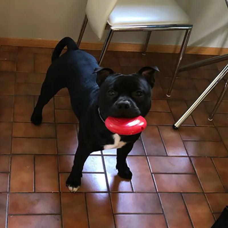 CAITEC Dog Toys Squeaking Foraging Disc Springy Durable Floatable Foraging and Chewing Pet Toy