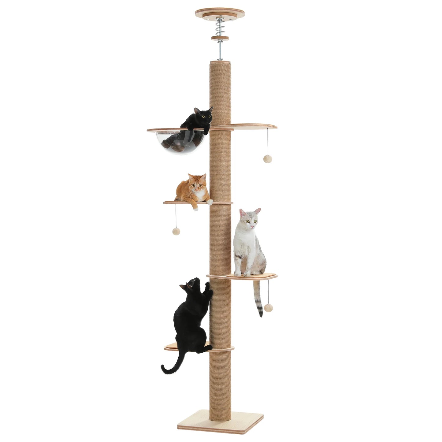 Floor to Ceiling Cat Tree for Indoor Cats Adjustable Height Wooden Cat Tower with Thick Scratching Posts Acrylic Cave Cat Toys