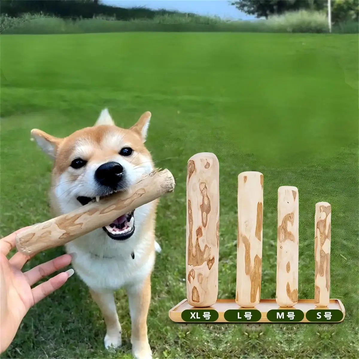 Natural Coffee Wood Dog Chew Toys Long Lasting Chewable Stick Dogs Supplies Stress Relief Chew Stick Pet Molar Toy for Dog Puppy