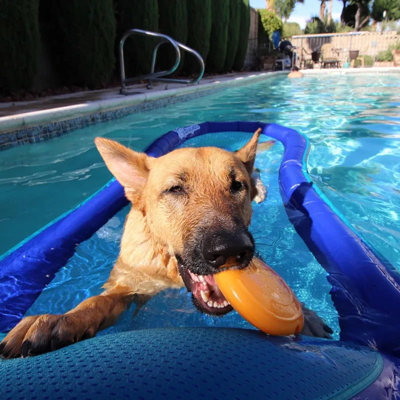 CAITEC Dog Toys Squeaking Foraging Disc Springy Durable Floatable Foraging and Chewing Pet Toy