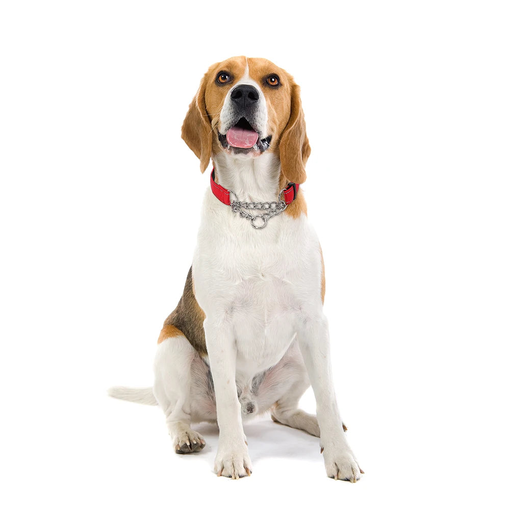 Stainless Steel Chain Martingale Collar Adjustable Dog Chain Reflective Nylon Fabric Pet Collars For Small Medium Large Dogs