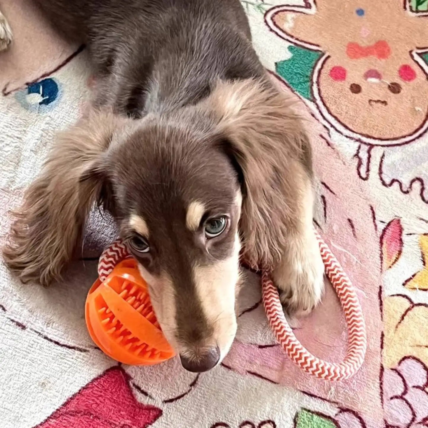 with Leaking Food Ball Interactive Tug of War Chew Toy Teeth Cleaning Bite Resistant Cotton Rope Toy for Small Medium Large Dogs