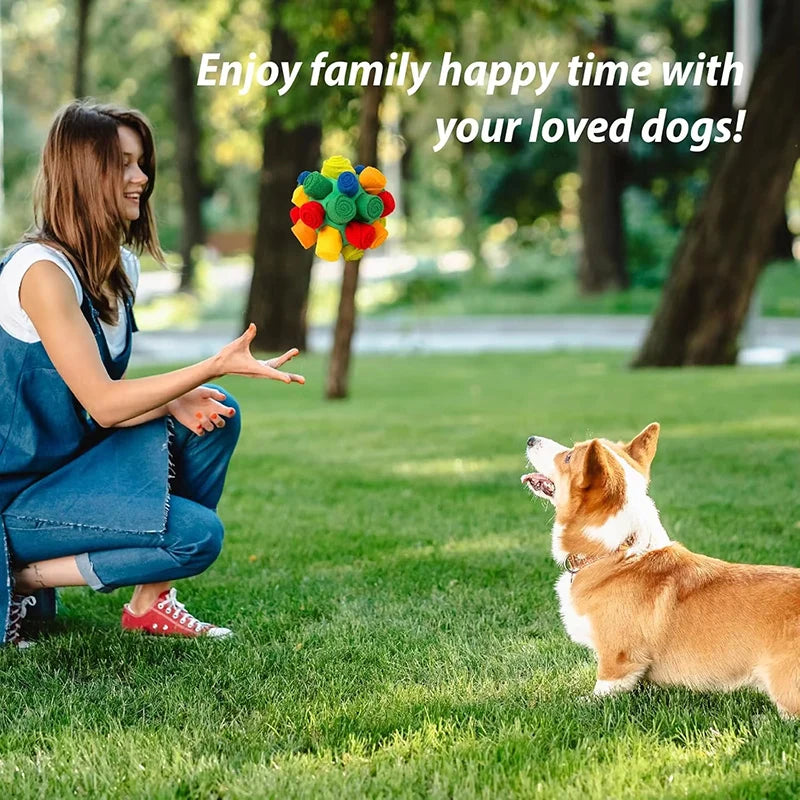 Hot Sale Interactive Dog Toy - Sniffing Ball for Hiding Treats - Rubber Puzzle Ball for Mental Stimulation Pet Supplies