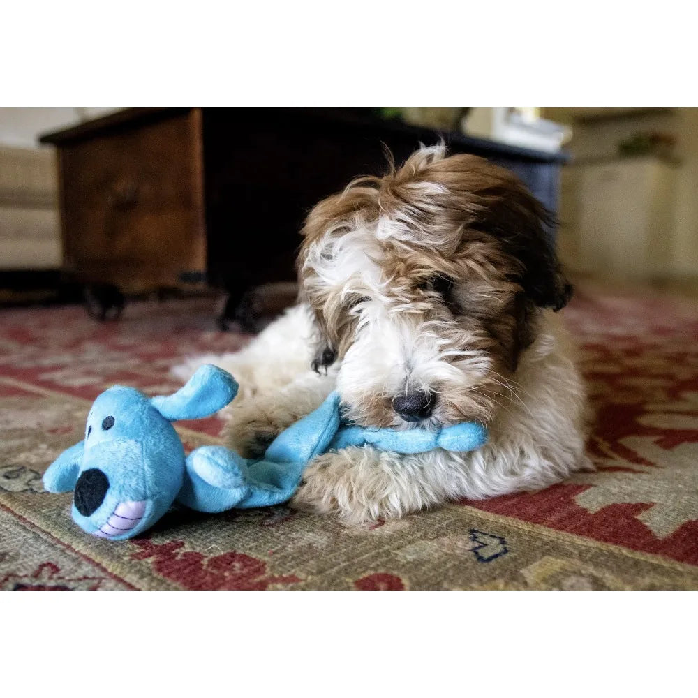 Multipet Smiling Loofa Mat Plush Dog Toy, 12 Inches Long, 13 Squeakers
