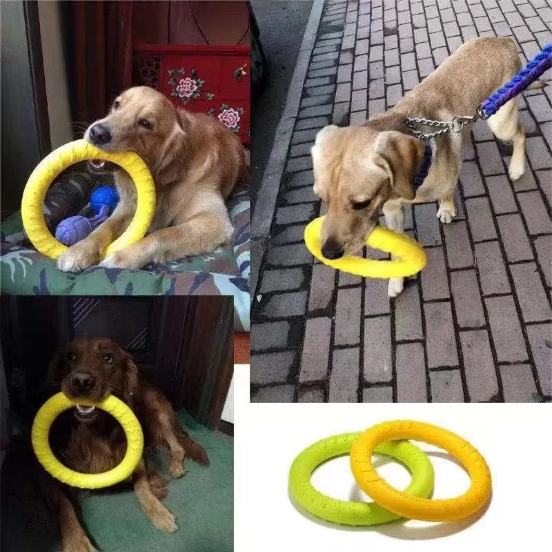 New Dog Toys Pet Flying Disk Training Ring Puller Anti-Bite Floating Interactive Toys Training Chewing Toy for Small Large Dogs