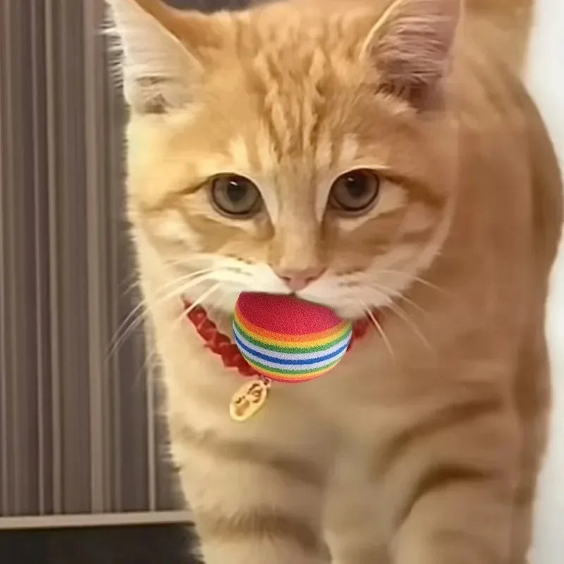 Rainbow EVA Cat Toys Ball Interactive Cat Dog Play Chewing Rattle Scratch Ball Elastic Bite-Resistant Foam Ball Home Pet Product